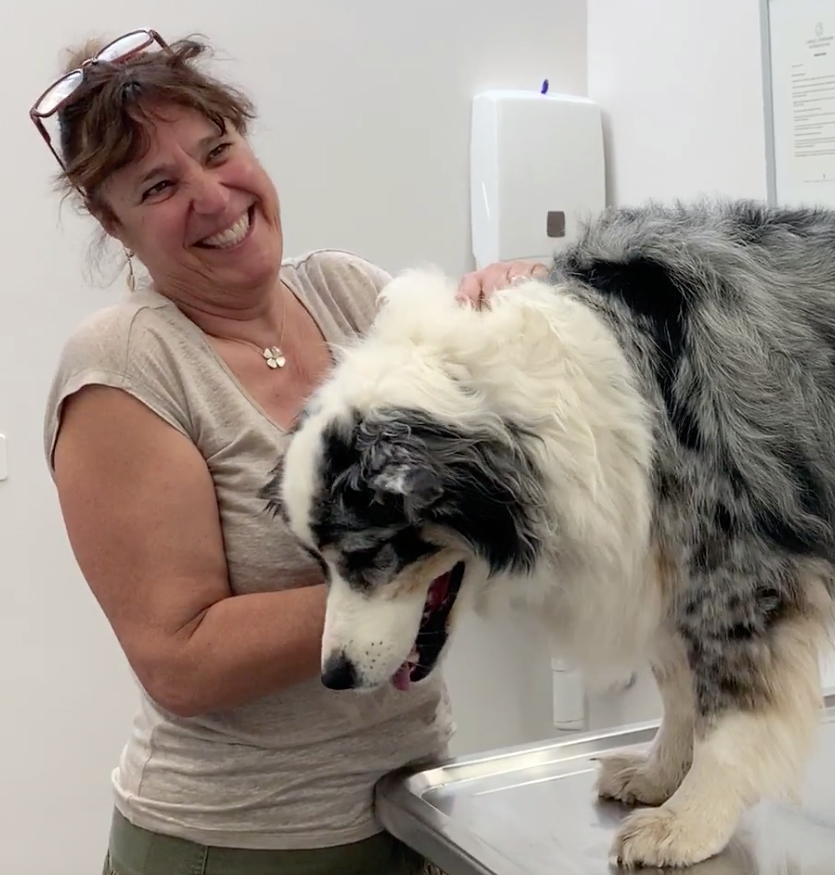 client, Vétérinaire Versoix, Veterinaire Versoix, Versoix Veterinaire, Versoix Vétérinaire, cabinet vétérinaire versoix, cabinet veterinaire versoix, clinique vétérinaire versoix, vétérinaire de Garde Versoix,veterinaire de Garde Versoix, Cabinet Vétérinaire International