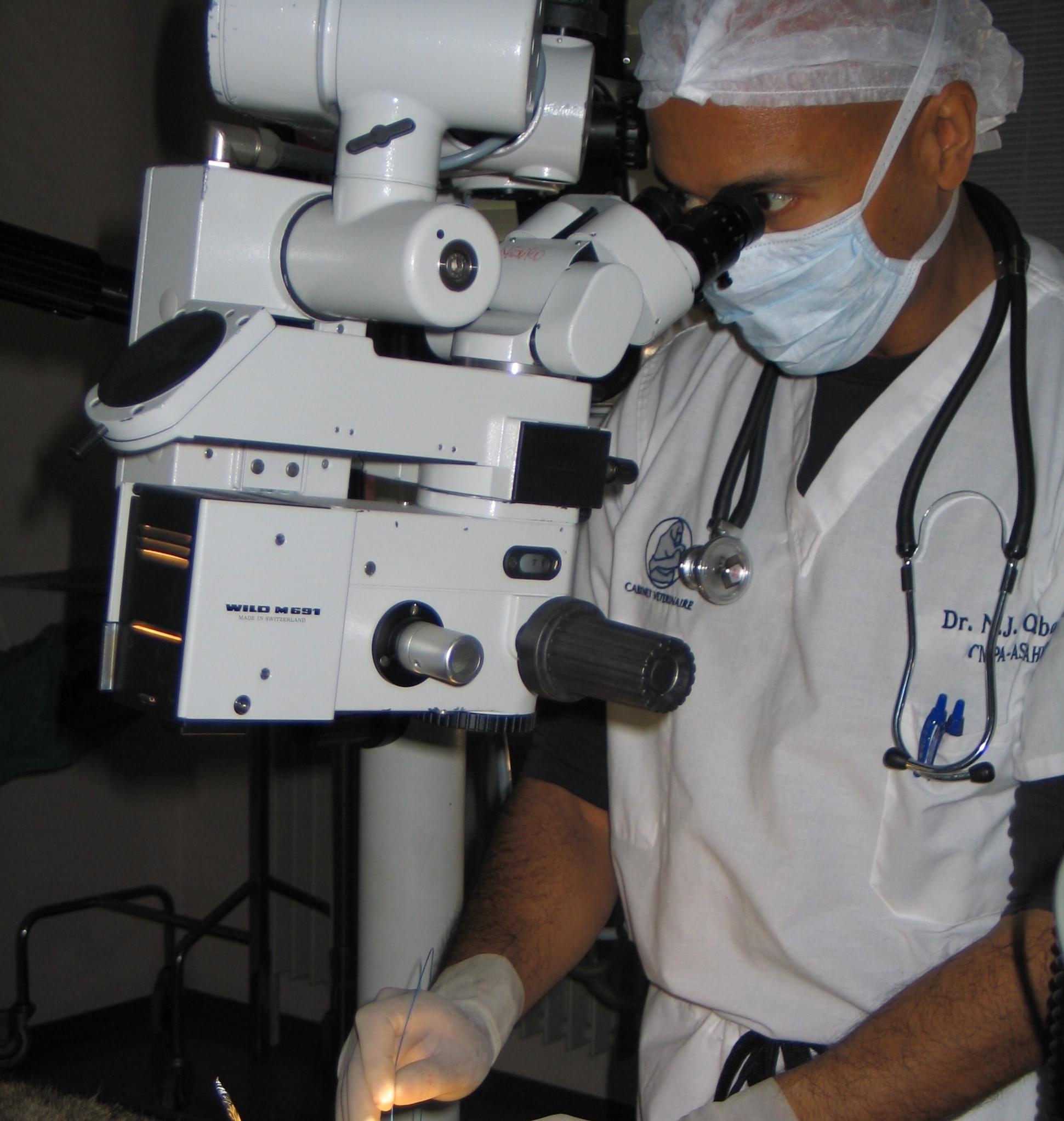 Dr. Omaboe, Vétérinaire Versoix, Veterinaire Versoix, Versoix Veterinaire, Versoix Vétérinaire, cabinet vétérinaire versoix, cabinet veterinaire versoix, clinique vétérinaire versoix, vétérinaire de Garde Versoix,veterinaire de Garde Versoix, Cabinet Vétérinaire International