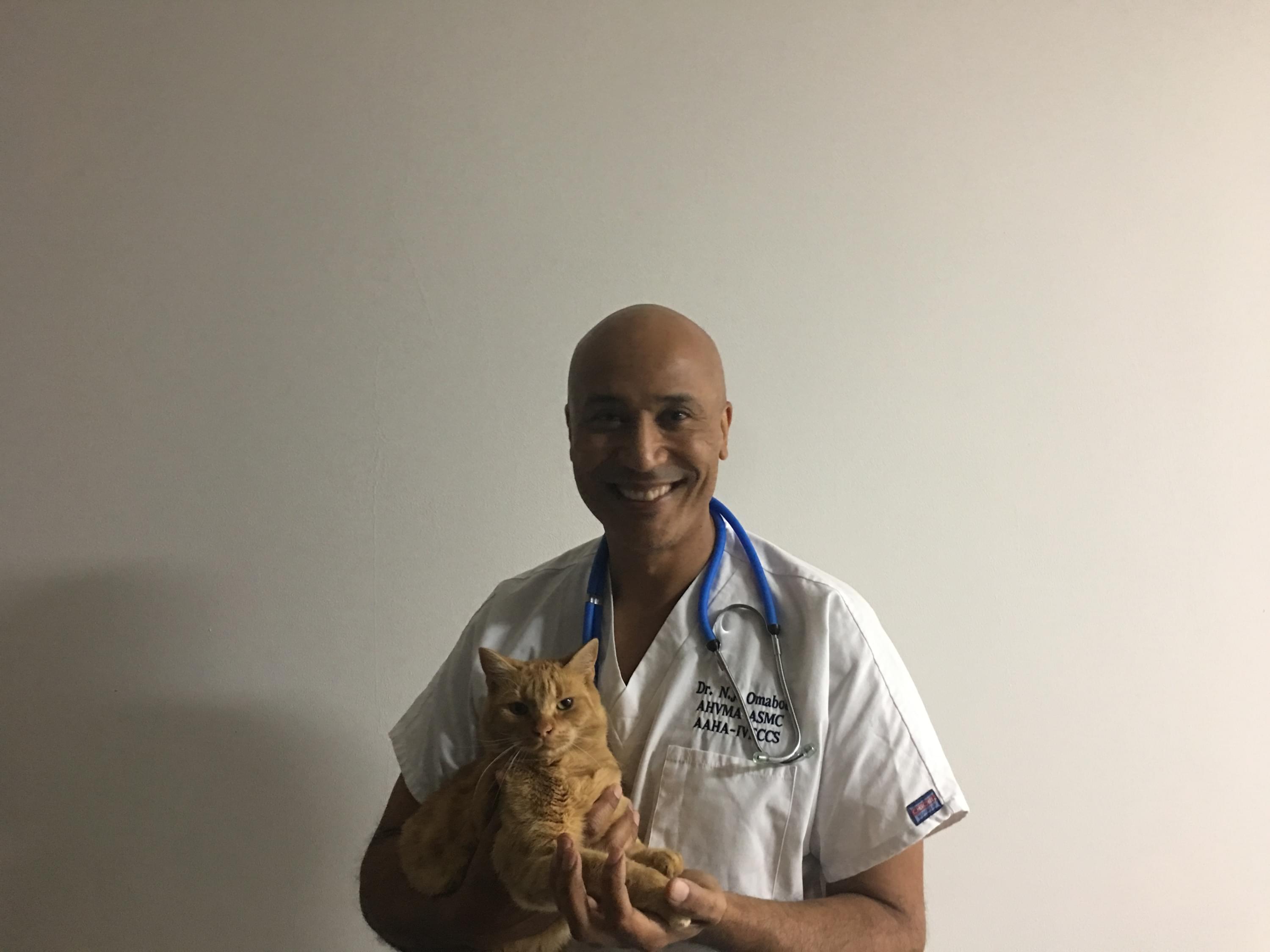 Vétérinaire Versoix, Veterinaire Versoix, Versoix Veterinaire, Versoix Vétérinaire, cabinet vétérinaire versoix, cabinet veterinaire versoix, clinique vétérinaire versoix, vétérinaire de Garde Versoix,veterinaire de Garde Versoix, Cabinet Vétérinaire International